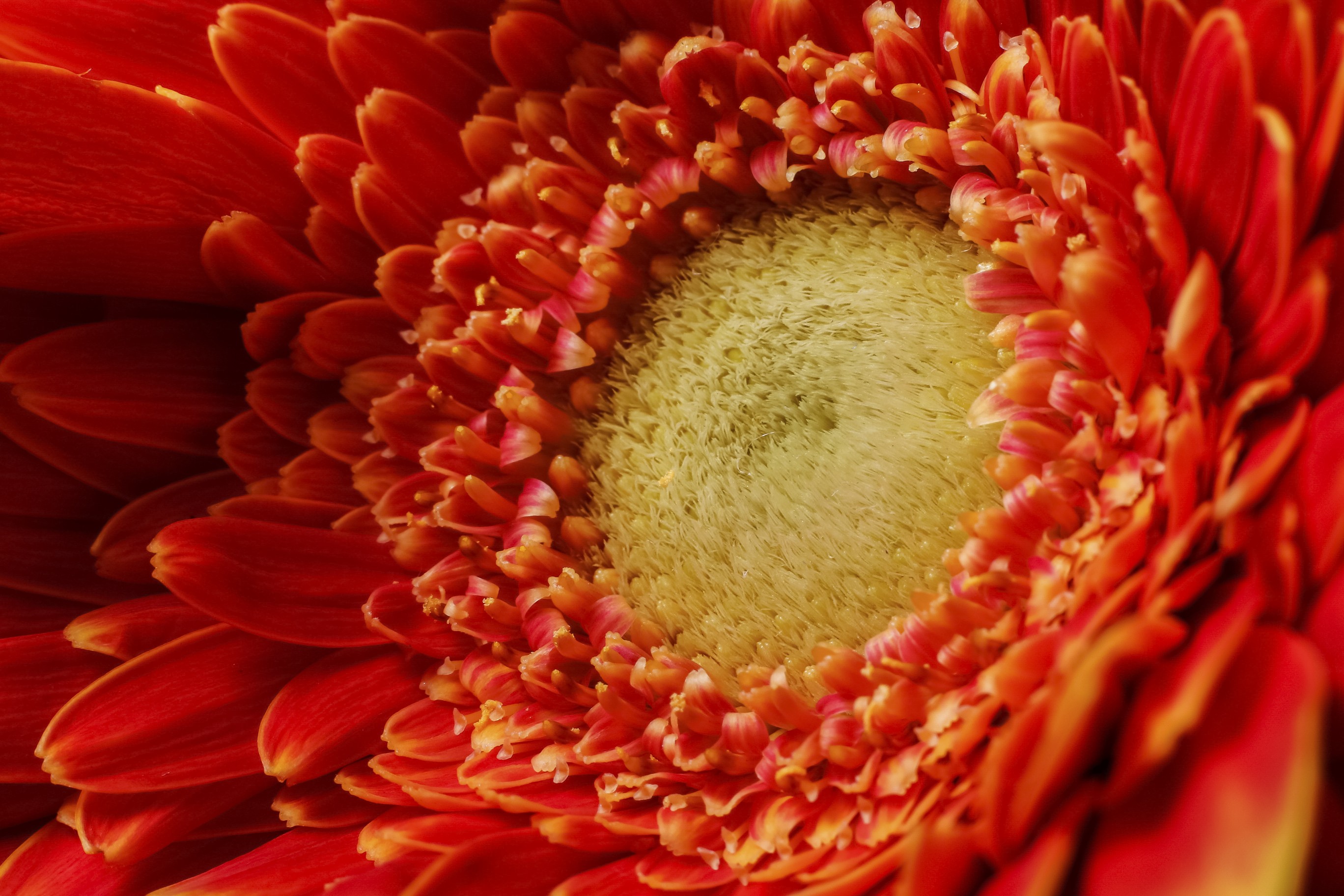 Luxury Product Photography